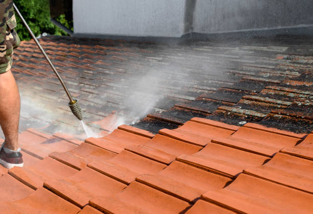 Best Concrete Pressure Washing  in Umatilla, FL