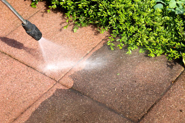 Best Pressure Washing Company Near Me  in Umatilla, FL
