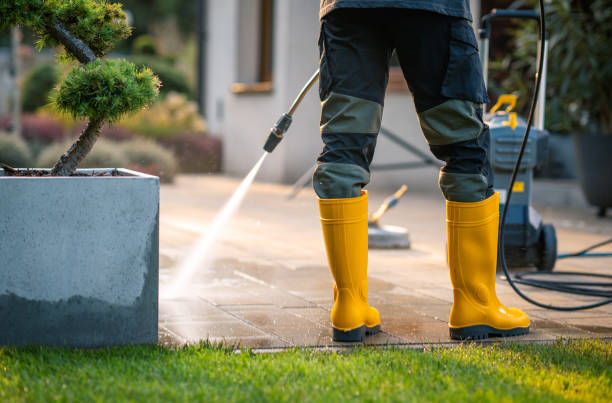 Best Affordable Pressure Washing  in Umatilla, FL